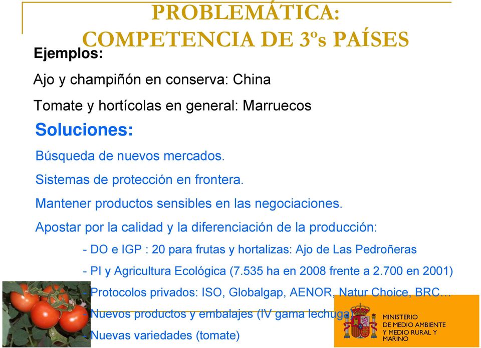 Apostar por la calidad y la diferenciación de la producción: - DO e IGP : 20 para frutas y hortalizas: Ajo de Las Pedroñeras - PI y Agricultura