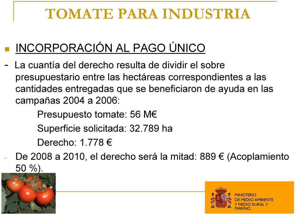 beneficiaron de ayuda en las campañas 2004 a 2006: Presupuesto tomate: 56 M Superficie