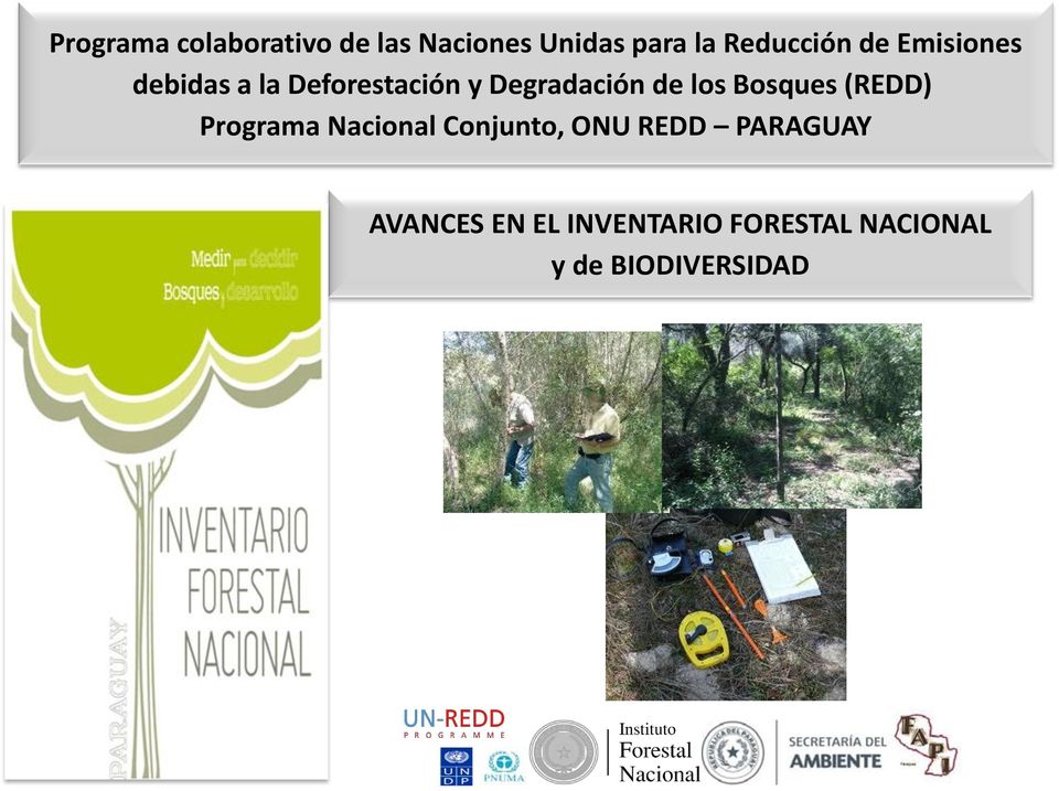 Degradación de los Bosques (REDD) Programa Nacional Conjunto,