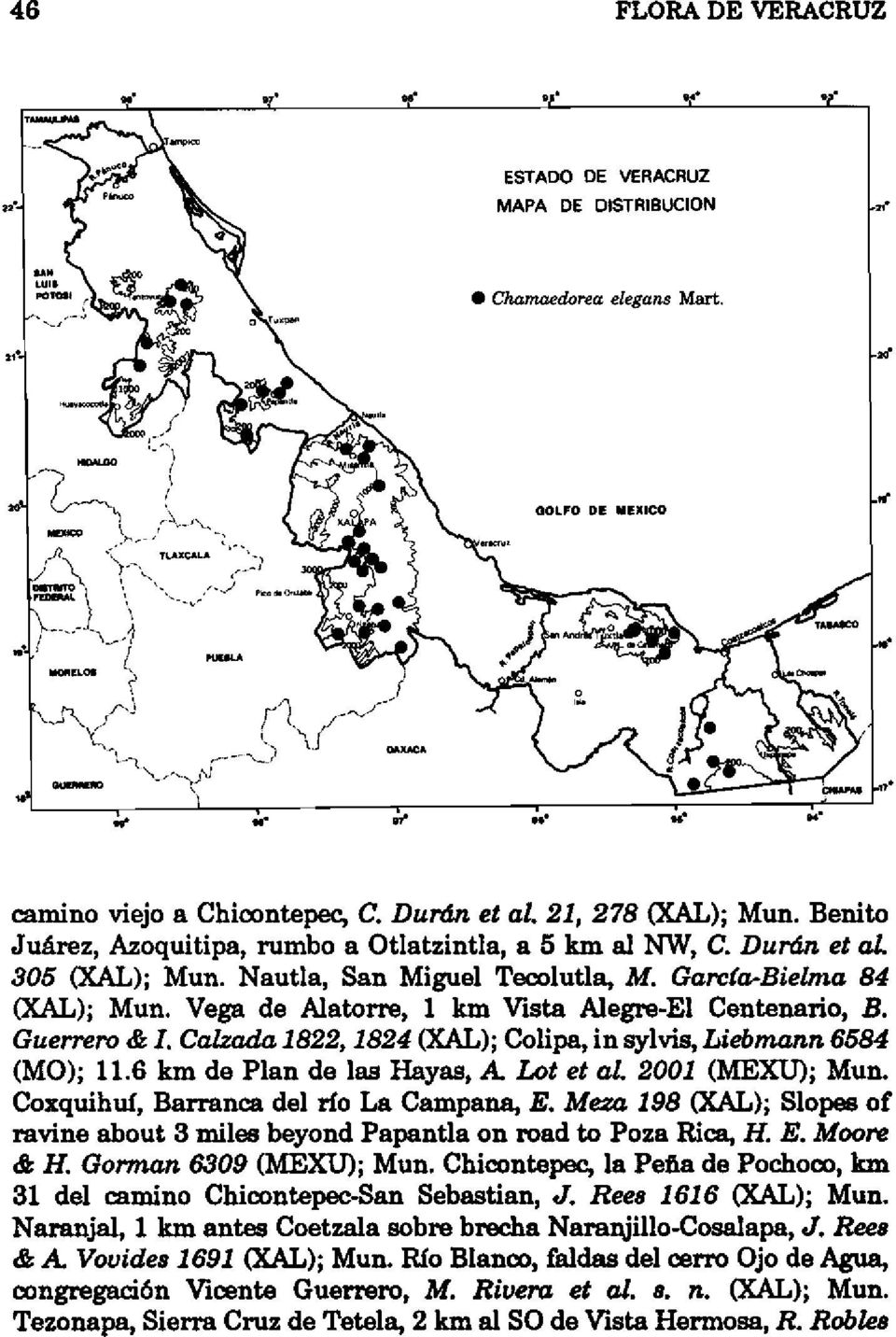 Vega de Alatorre, 1 km Vista Alegre-El Centenario, B. Guerrero & l. Calzada 1822, 1824 (}(AL); Colipa, in sylvis, Liebmann 6584 (MO); 11.6 km de Plan de las Hayas, A Lol el al. 2001 (MEXU); Mun.