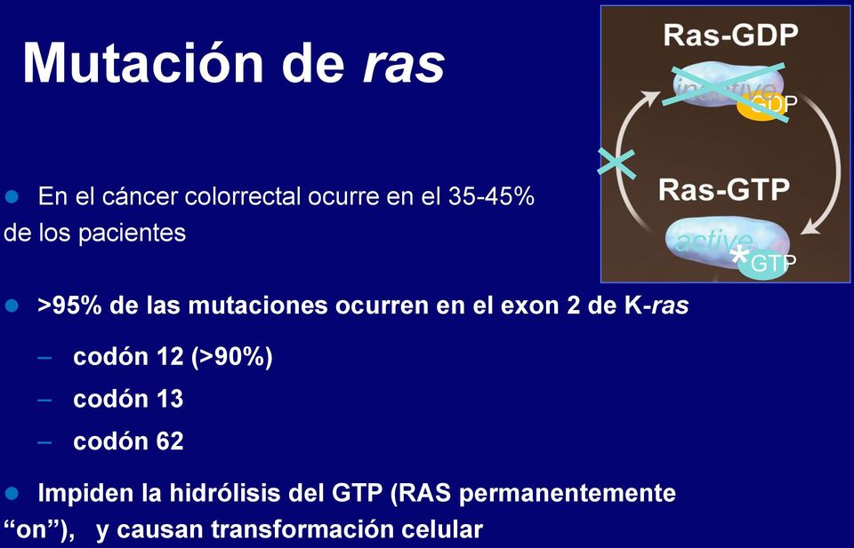 de K-ras codón 12 (>90%) codón 13 codón 62 Impiden la hidrólisis del