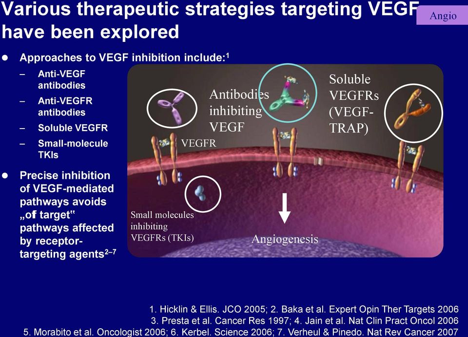 Nat Rev Cancer 2007 Various therapeutic strategies targeting VEGF have been explored Angio Approaches to VEGF inhibition include: 1 Anti-VEGF antibodies Anti-VEGFR