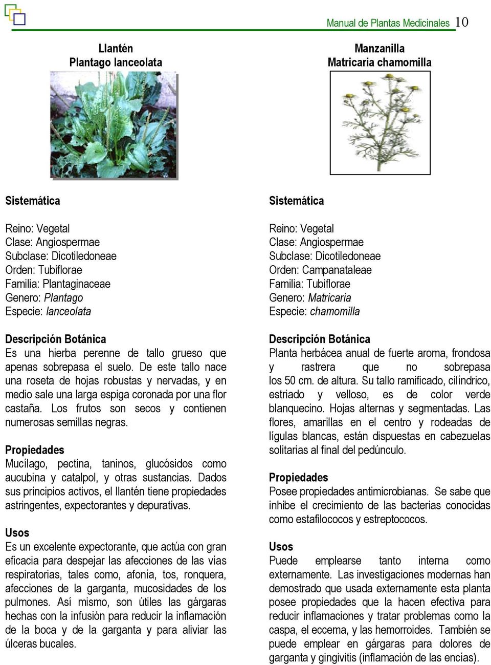 Manual De Plantas Medicinales Pdf Descargar Libre