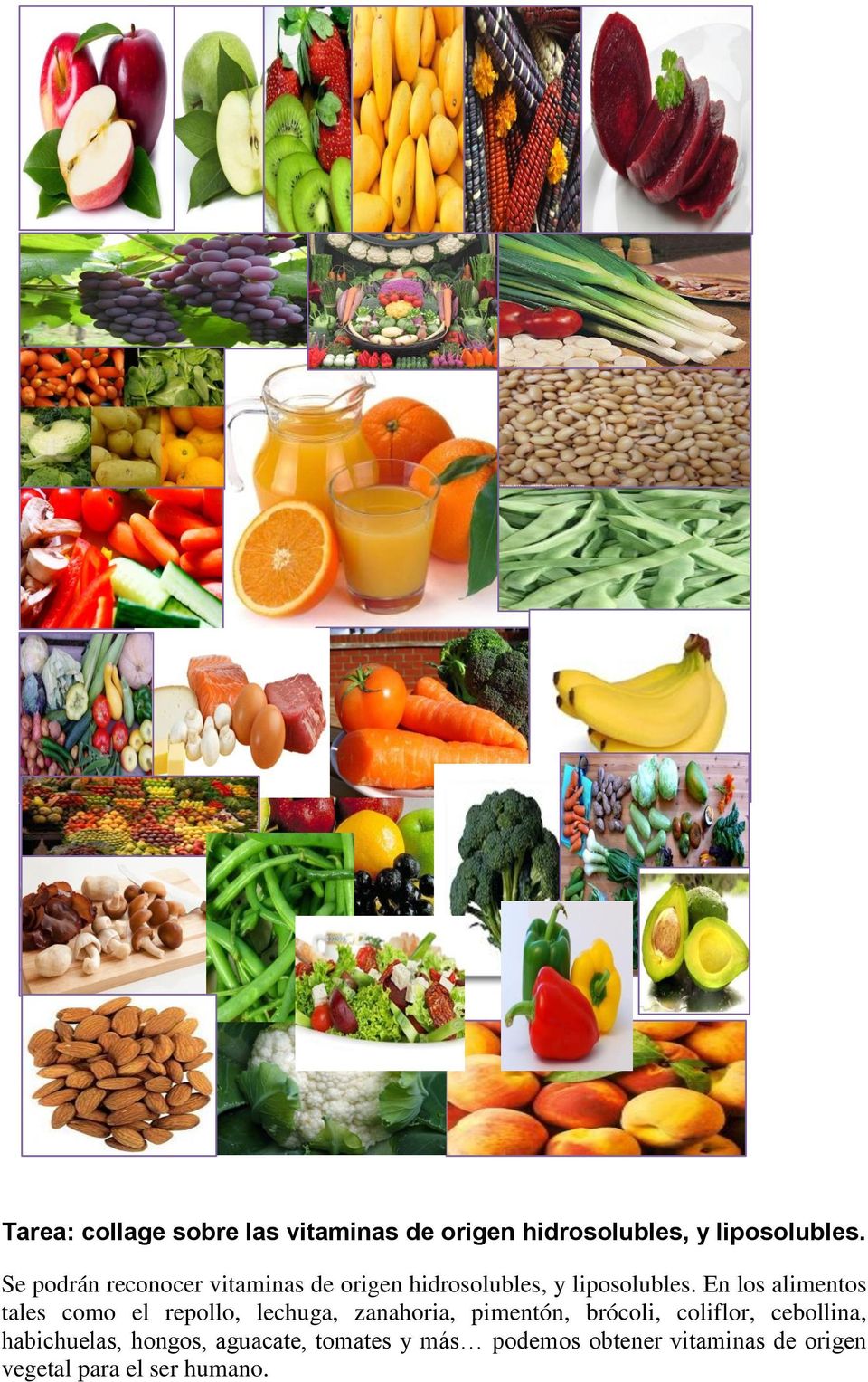 En los alimentos tales como el repollo, lechuga, zanahoria, pimentón, brócoli, coliflor,