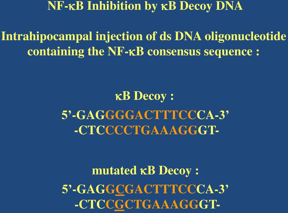 sequence : B Decoy : 5 -GAGGGGACTTTCCCA-3