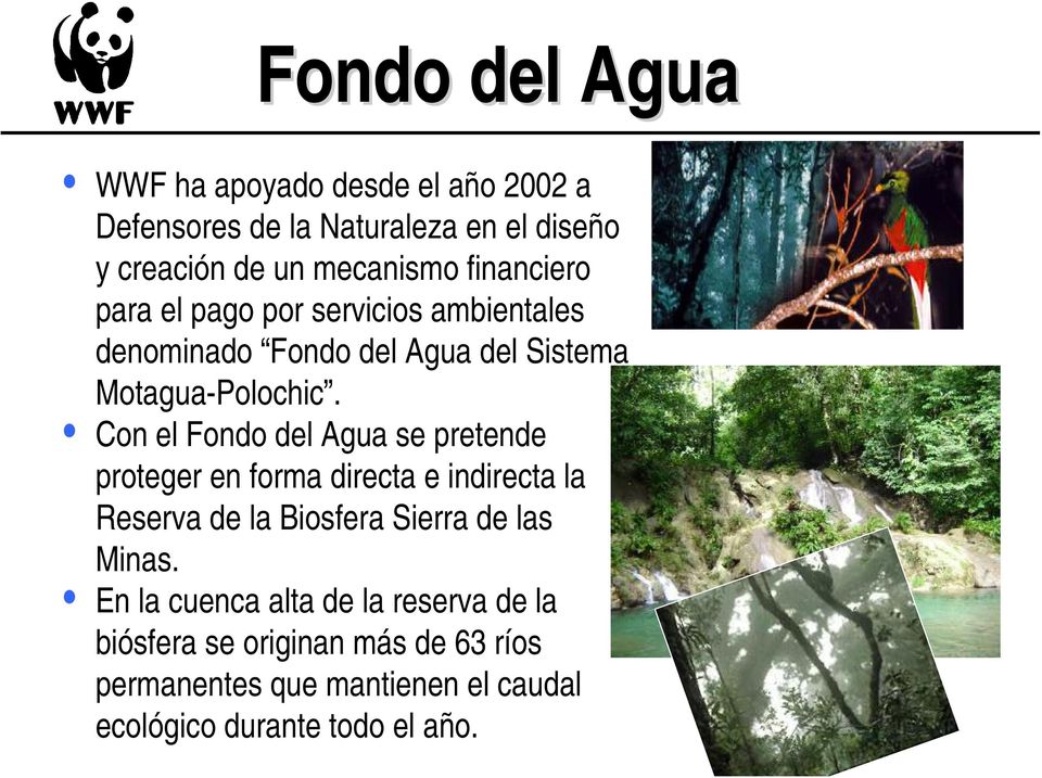 Con el Fondo del Agua se pretende proteger en forma directa e indirecta la Reserva de la Biosfera Sierra de las Minas.