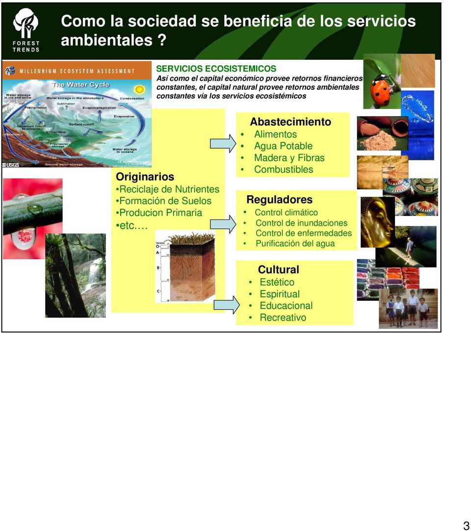 ambientales constantes vía los servicios ecosistémicos Originarios Reciclaje de Nutrientes Formación de Suelos Producion Primaria etc.
