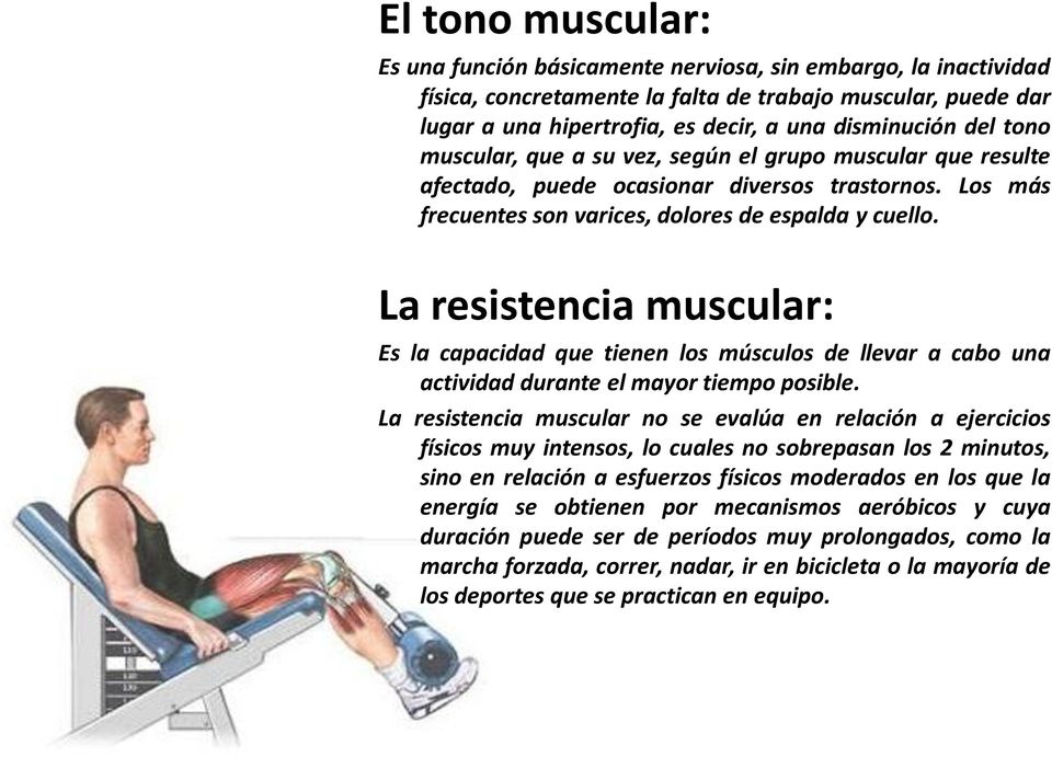La resistencia muscular: Es la capacidad que tienen los músculos de llevar a cabo una actividad durante el mayor tiempo posible.