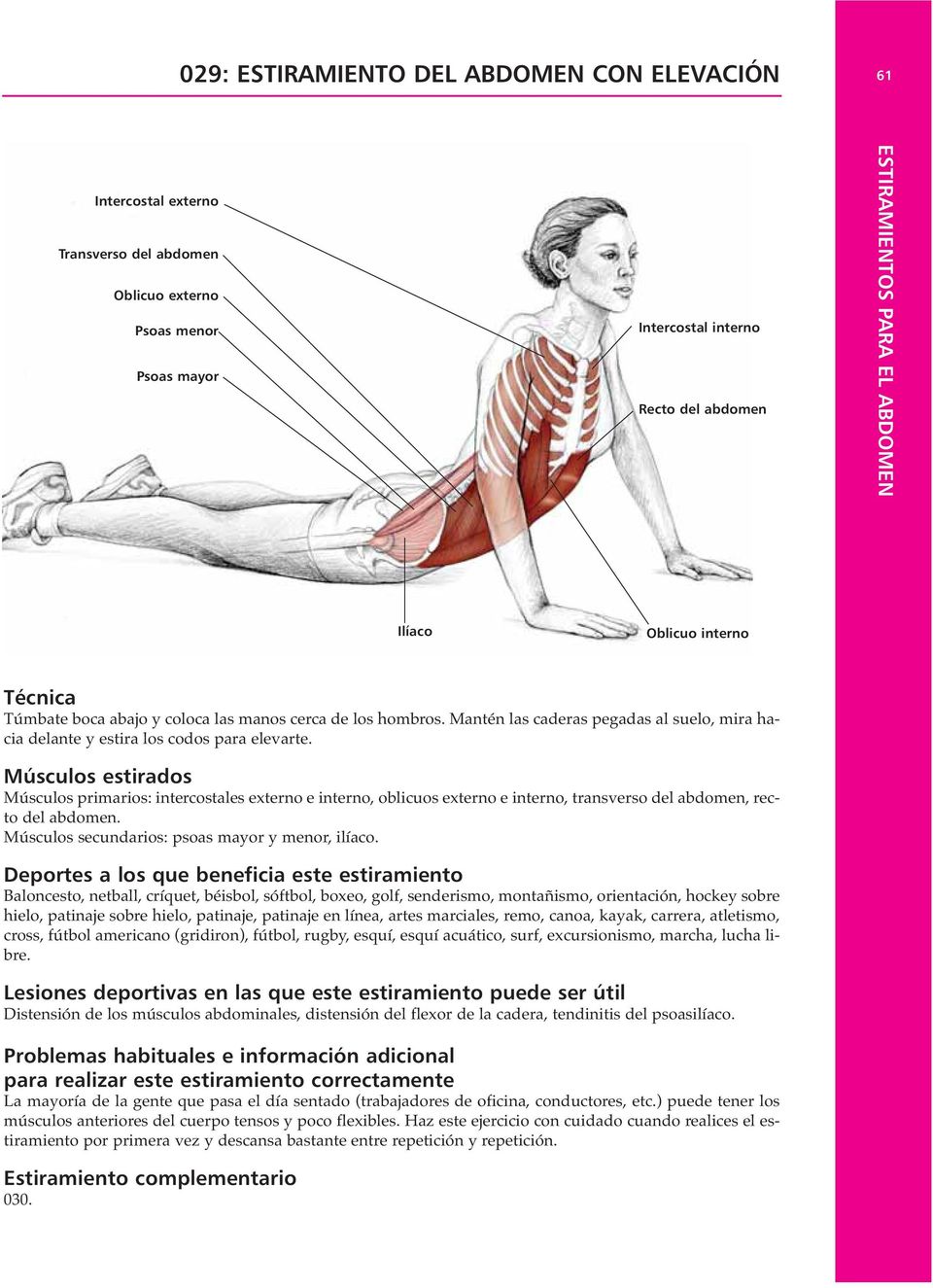 Músculos estirados Músculos primarios: intercostales externo e interno, oblicuos externo e interno, transverso del abdomen, recto del abdomen. Músculos secundarios: psoas mayor y menor, ilíaco.