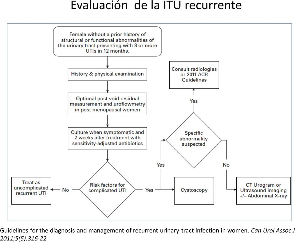 management of recurrent urinary tract