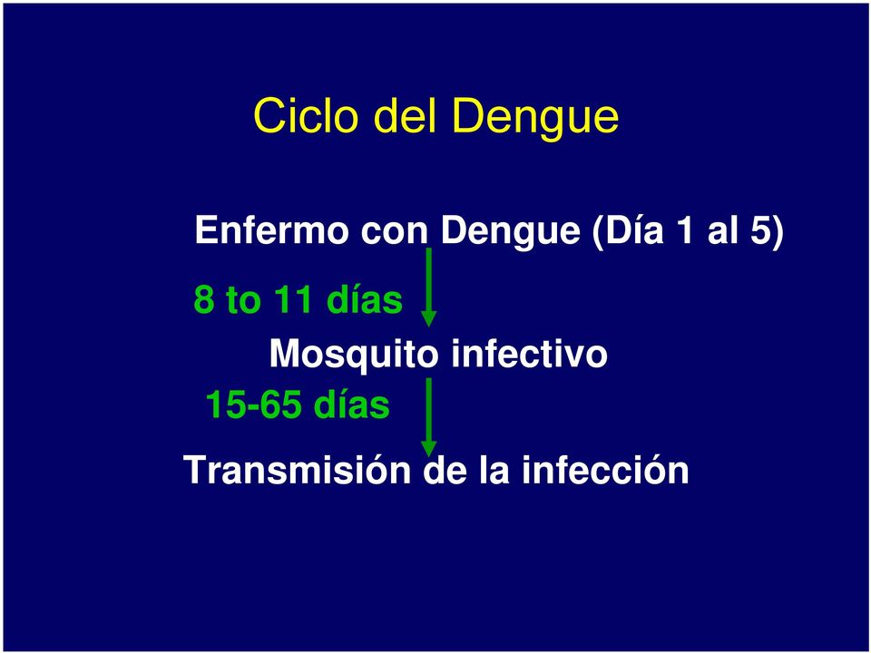 días Mosquito infectivo 15-65