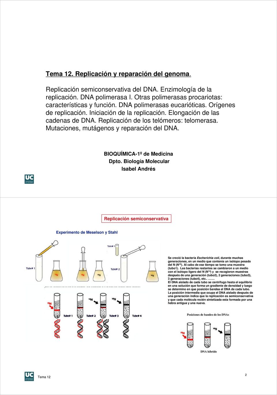 Mutaciones, mutágenos y reparación del DNA. BIOQUÍMICA-1º de Medicina Dpto.