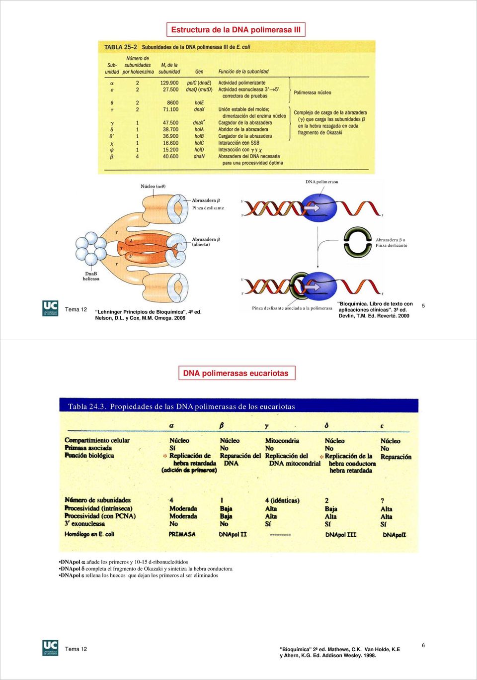 ed. Devlin, T.M. Ed. Reverté. 2000 5 DNA polimerasas eucariotas Tabla 24.3.