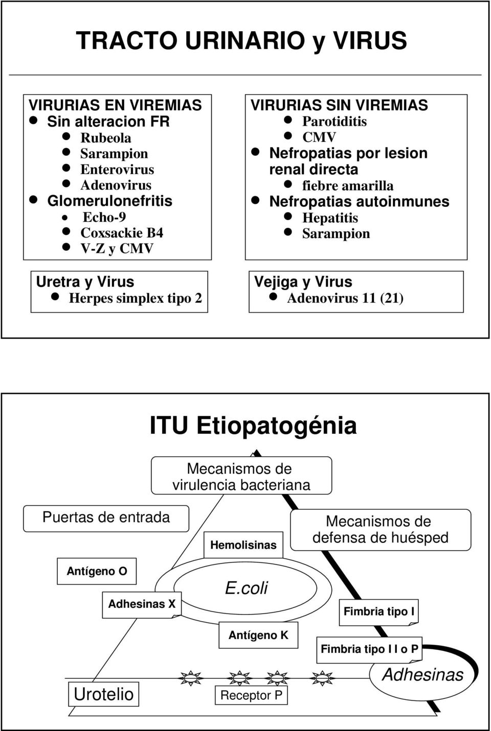 autoinmunes Hepatitis Sarampion Vejiga y Virus Adenovirus 11 (21) ITU Etiopatogénia Mecanismos de virulencia bacteriana Puertas de entrada