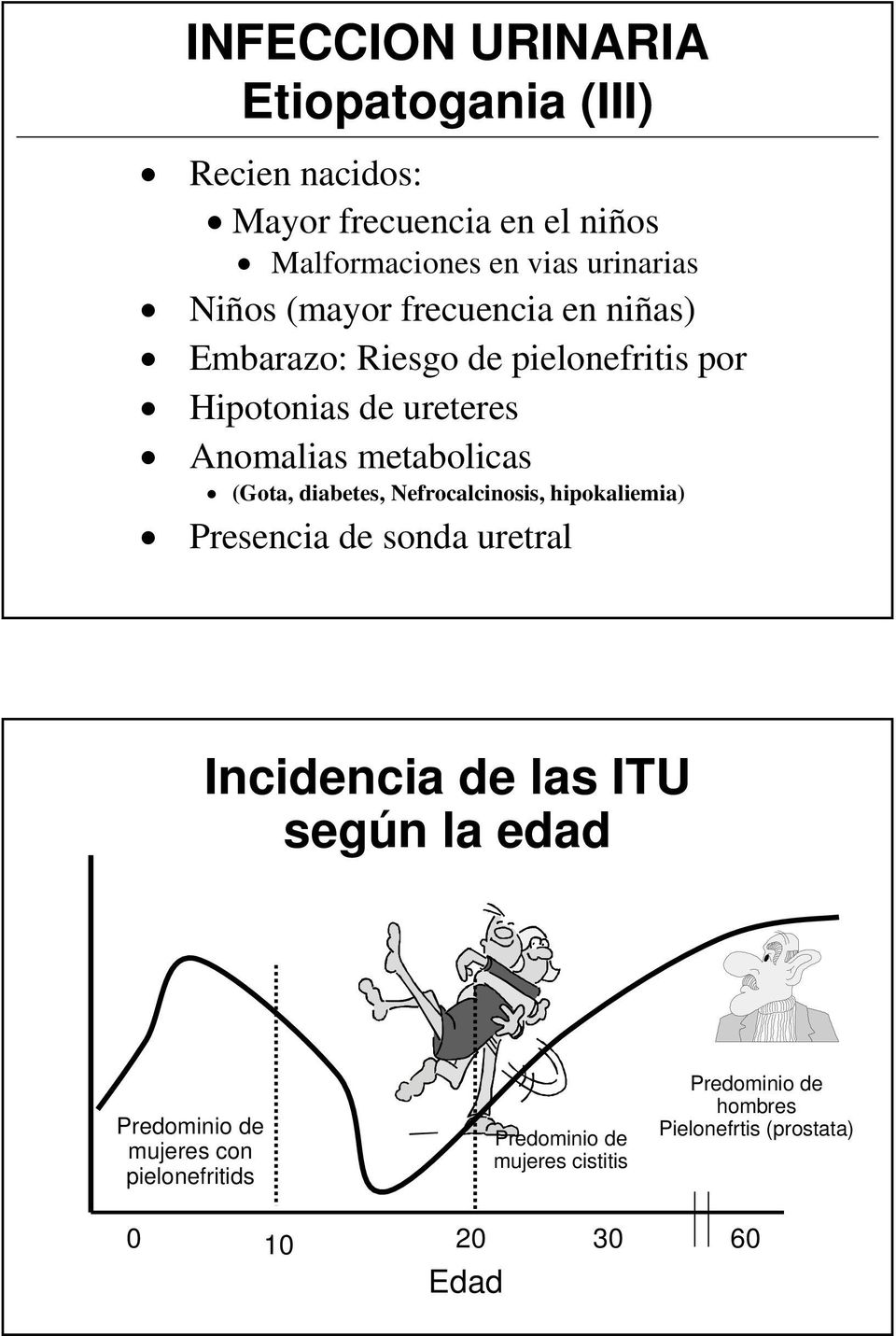 (Gota, diabetes, Nefrocalcinosis, hipokaliemia) Presencia de sonda uretral Incidencia de las ITU según la edad