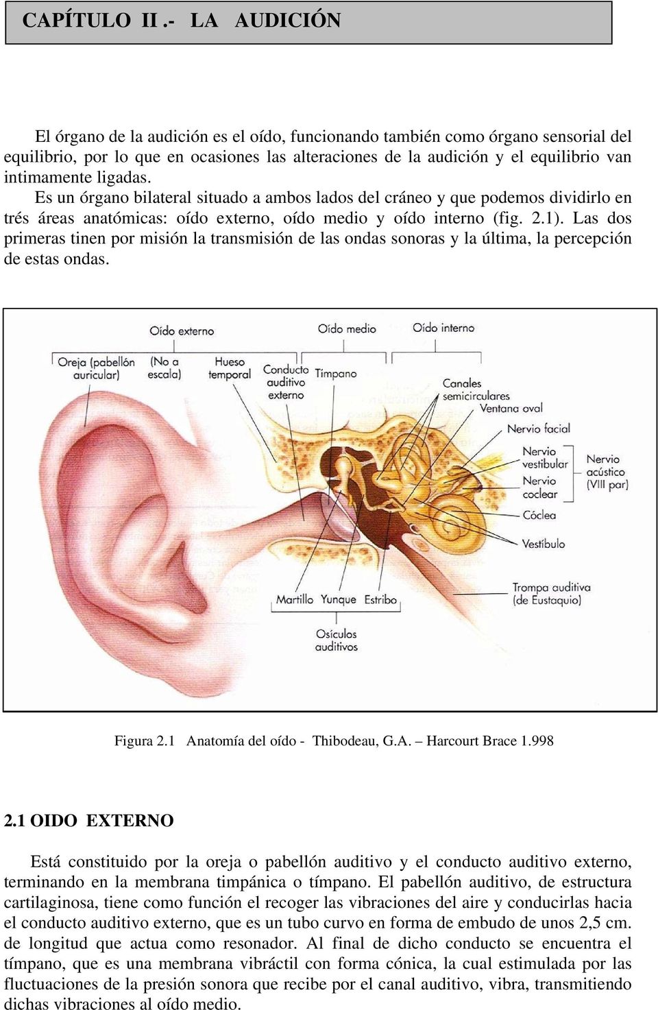 ligadas. Es un órgano bilateral situado a ambos lados del cráneo y que podemos dividirlo en trés áreas anatómicas: oído externo, oído medio y oído interno (fig. 2.1).
