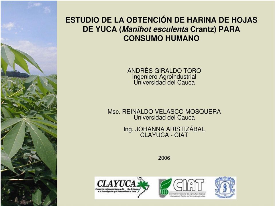 Ingeniero Agroindustrial Universidad del Cauca Msc.