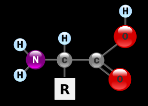 Aminoácidos Molécula que contiene un grupo carboxilo (-COOH) y un grupo amino (-NH3) libres.