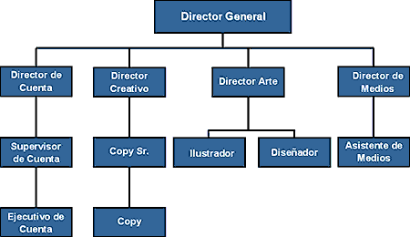 Organización de una