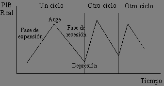 4- LOS CICLOS ECONÓMICOS Los ciclos económicos, son una serie de fases por las que pasa la economía a lo largo del tiempo.