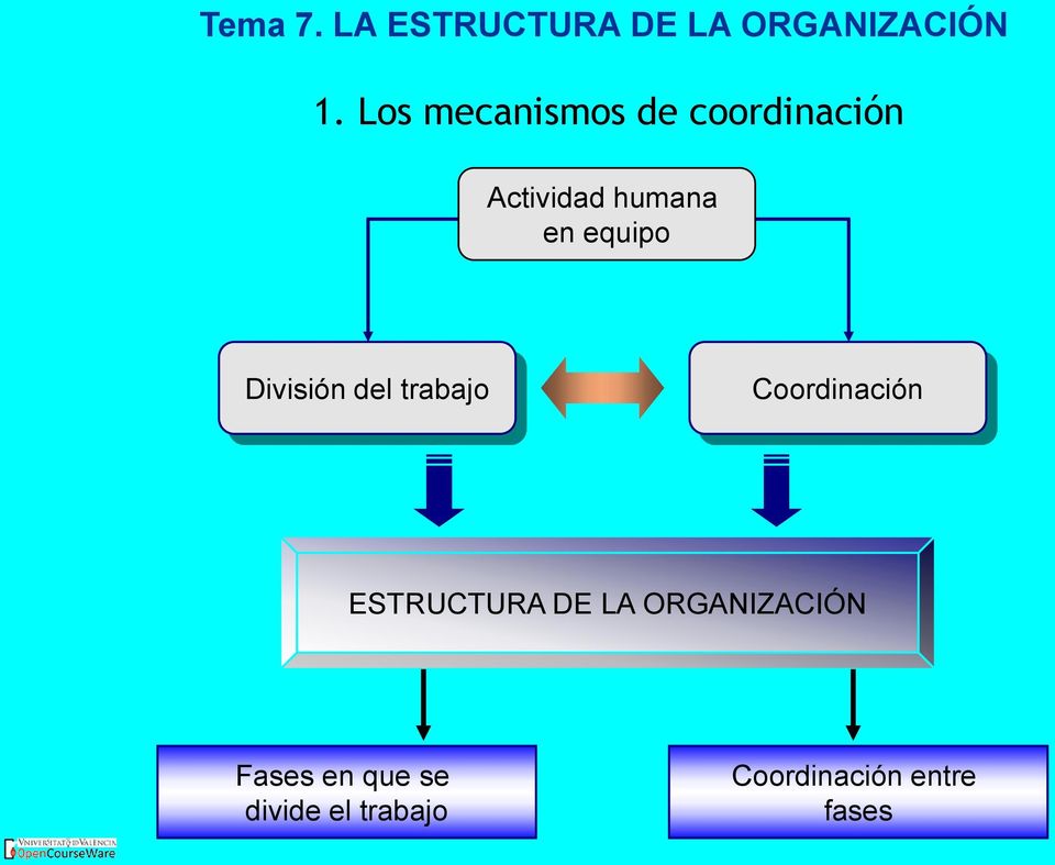 Coordinación ESTRUCTURA DE LA ORGANIZACIÓN