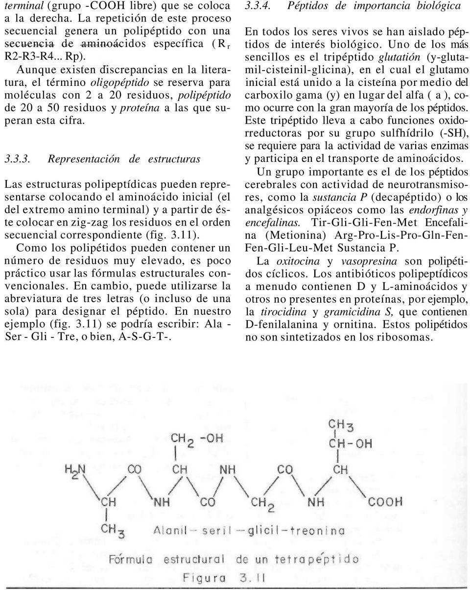 3.3. Representación de estructuras Las estructuras polipeptídicas pueden representarse colocando el aminoácido inicial (el del extremo amino terminal) y a partir de éste colocar en zig-zag los
