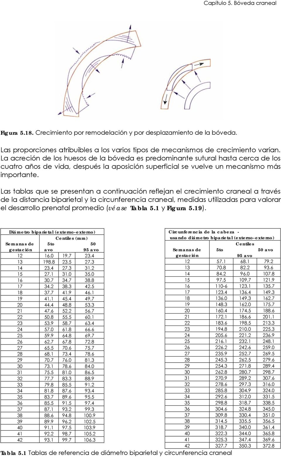 Las tablas que se presentan a continuación reflejan el crecimiento craneal a través de la distancia biparietal y la circunferencia craneal, medidas utilizadas para valorar el desarrollo prenatal