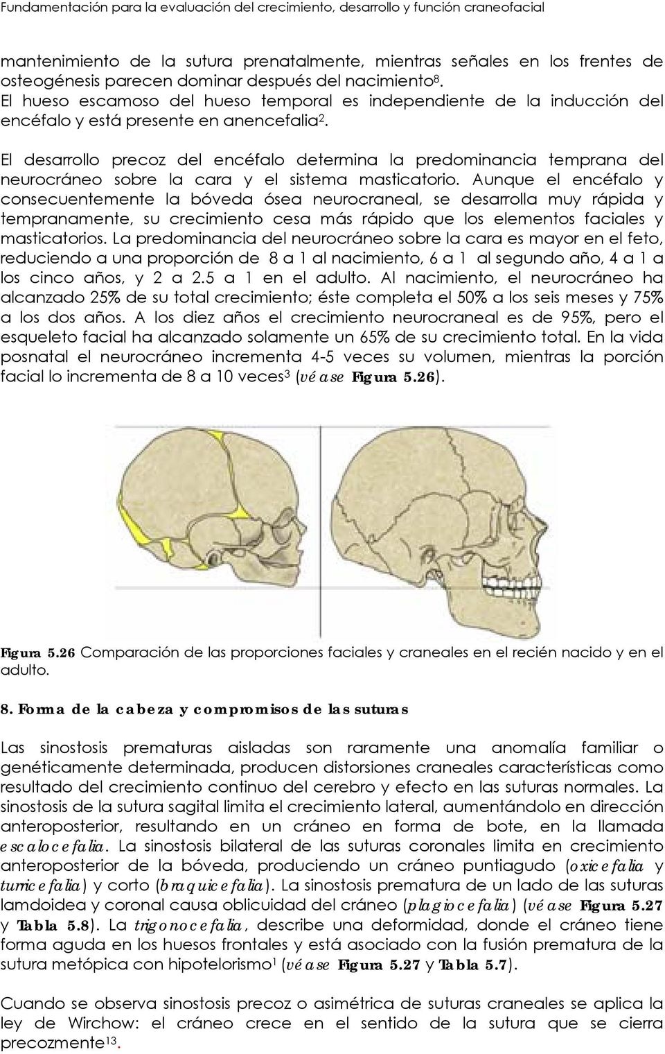 El desarrollo precoz del encéfalo determina la predominancia temprana del neurocráneo sobre la cara y el sistema masticatorio.