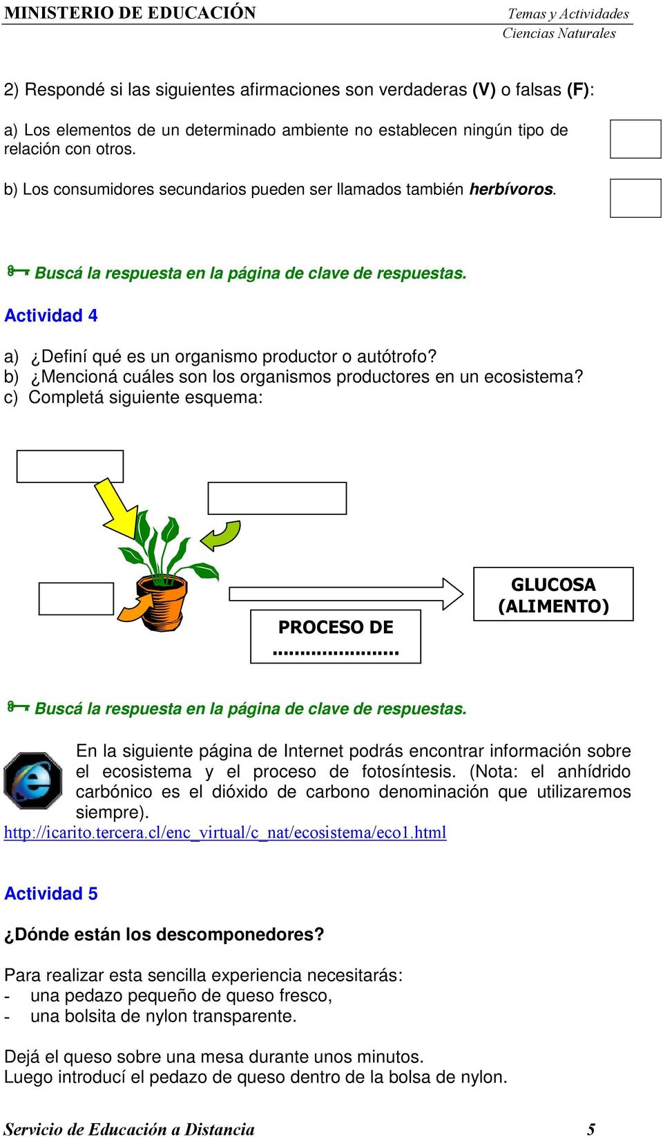 b) Mencioná cuáles son los organismos productores en un ecosistema? c) Completá siguiente esquema: PROCESO DE... GLUCOSA (ALIMENTO) Buscá la respuesta en la página de clave de respuestas.