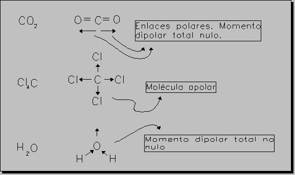 La polaridad de un enlace se mide con el momento dipolar, que se define como el producto de la carga y la distancia entre los núcleos de los átomos que forman el enlace; la unidad para medir los
