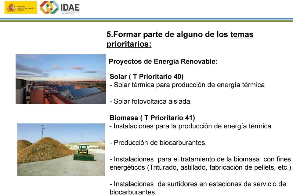 Biomasa ( T Prioritario 41) - Instalaciones para la producción de energía térmica. - Producción de biocarburantes.
