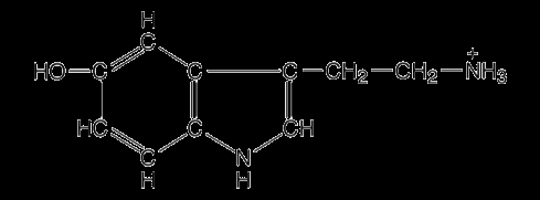 grasos - - péptidos Secretina -NaHCO 3 3 del páncreas -Enzimas pancreáticas - - ph bajo Acetilcolina Acetilcolina Electrolitos y enzimas Desde Sistema Nervioso Central y salivales,