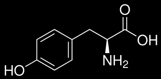 Triptófano Este aminoácido es el precursor del ácido indol-3-acético, la auxina natural más importante para el crecimiento de la planta.