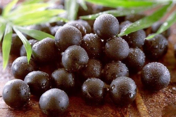 ACAI BERRY, UNA FUENTE DE ANTIOXIDANTES NATURALES Acai Berry es quizás una de las fuentes de antioxidantes naturales que más auge, o fama, está teniendo hoy en día; si bien cuenta con muchas
