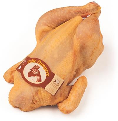Principio de pigmentación en piel de pollos de engorde. Las xantofilas más importantes para la piel en pollos de engorde son la luteína y la zeaxantina.