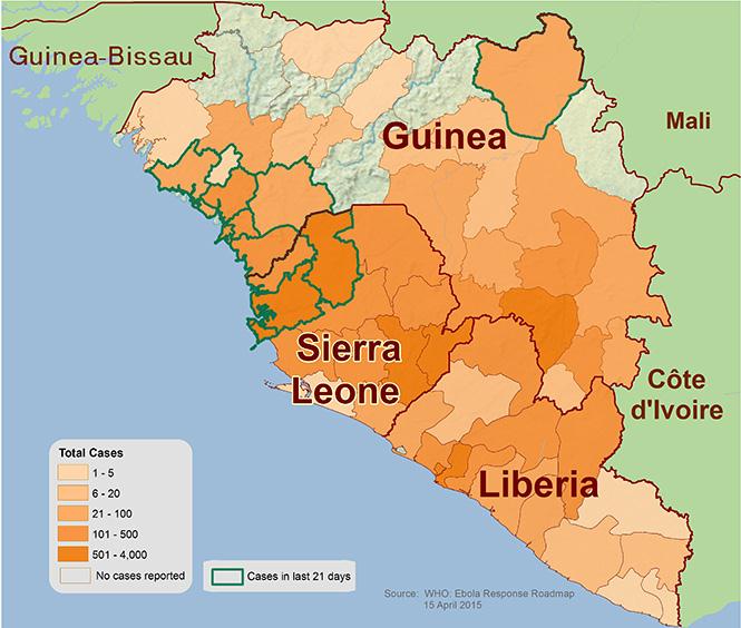 Gráfico 2.26. Nº total de casos en Guinea, Liberia y Sierra leona. Periodo del 25 de marzo de 214 a 7 de junio de 215. Fuente: OMS.