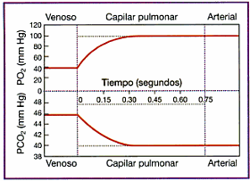 un aumento de la superficie el de intercambio y aumenta por consiguiente el área total de difusión.