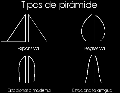 4.3. La pirámide de población. La pirámide de población en España en 2007. Base de la pirámide: la población joven (de 0 a 14 años).