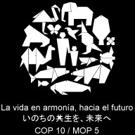 PROYECTO DE ESTRATEGIA PARA LAS CELEBRACIONES DEL DECENIO DE LAS NACIONES UNIDAS SOBRE LA DIVERSIDAD BIOLÓGICA (UNDB) 2011-2020 I. Introducción 1.