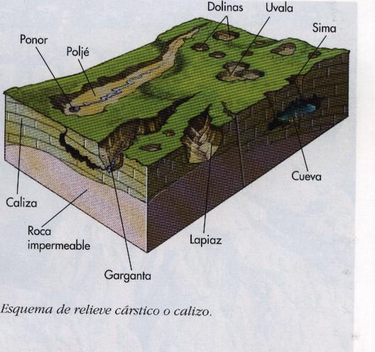 Relieve cárstico: Conjunto de formas topográficas características de las zonas calizas o salinas (yeso), debidas a la disolución de la roca por la acción del agua acidulada: lapiaces, dolinas,