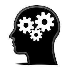 TEMA 1: FUNDAMENTOS Psicología: Ciencia que estudia la conducta y los procesos mentales.