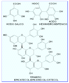metabolismo de los flavonoides, se forman a partir de una flavanona por idroxilación en el C-3.