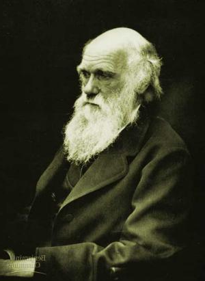 Darwin y el debate de la biología y la cultura Sus observaciones de la difusión universal de un gran número de