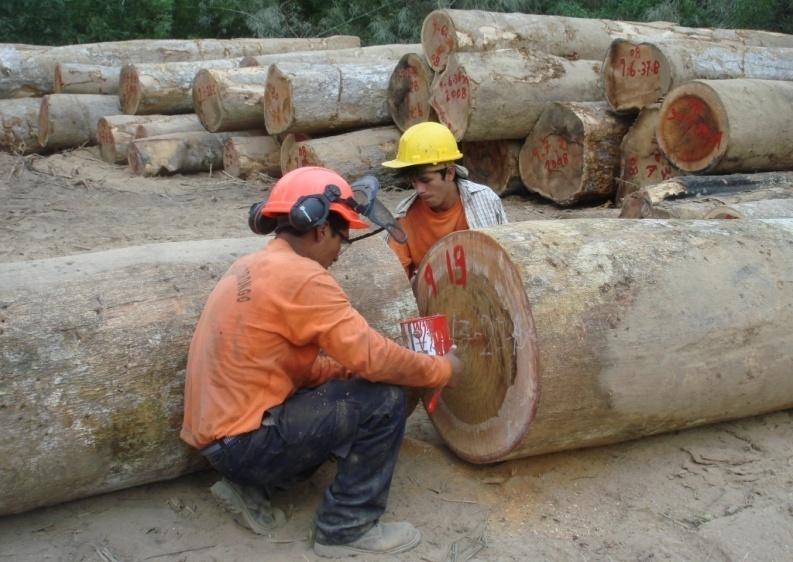 Proyecto PD 421/06 (F) Fortalecimiento de la cadena productiva de la madera proveniente de concesiones forestales y otros