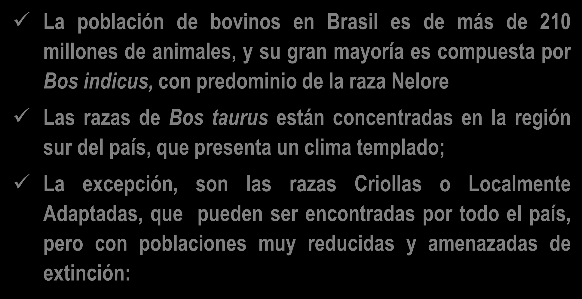 La población de bovinos en Brasil es de más de 210 millones de animales, y su gran mayoría es compuesta por Bos indicus, con predominio de la raza Nelore Las razas de Bos taurus están concentradas en