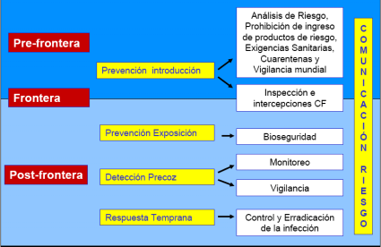 Modelo Epidemiológico del Sistema de Prevención y Respuesta a IA en Chile 3.1.