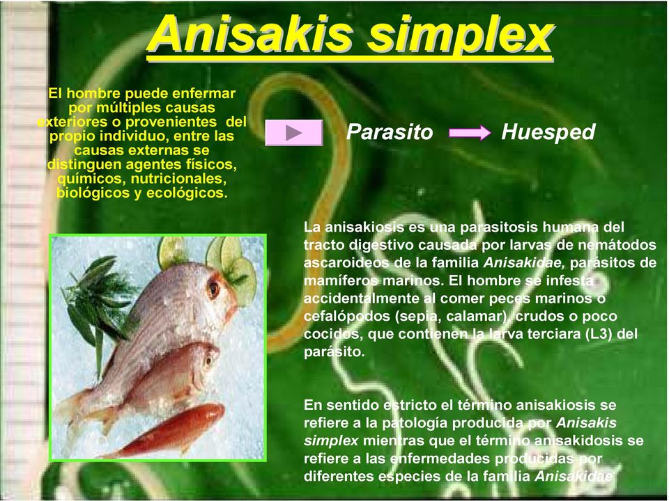 Parasito Huesped La anisakiosis es una parasitosis humana del tracto digestivo causada por larvas de nemátodos ascaroideos de la familia Anisakidae, parásitos de mamíferos marinos.