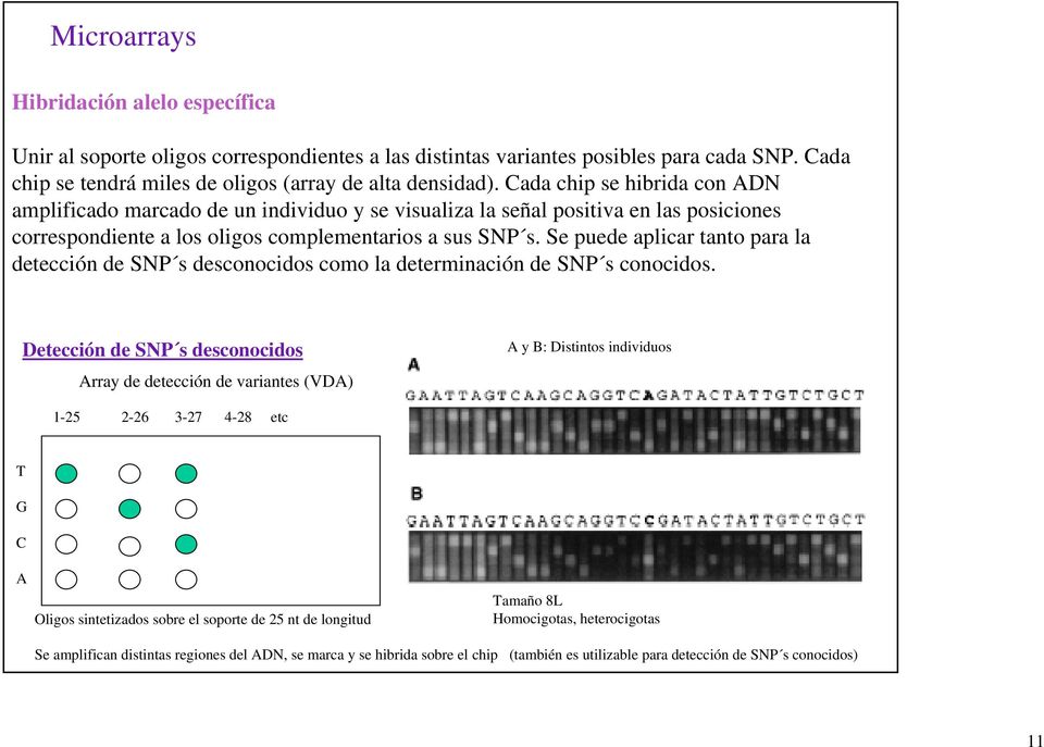 Se puede aplicar tanto para la detección de SNP s desconocidos como la determinación de SNP s conocidos.