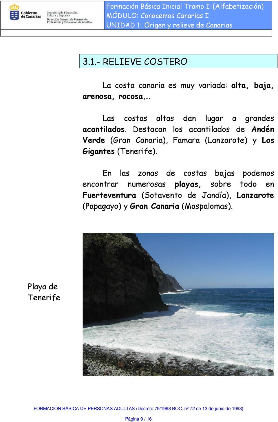 Destacan los acantilados de Andén Verde (Gran Canaria), Famara (Lanzarote) y Los Gigantes (Tenerife).