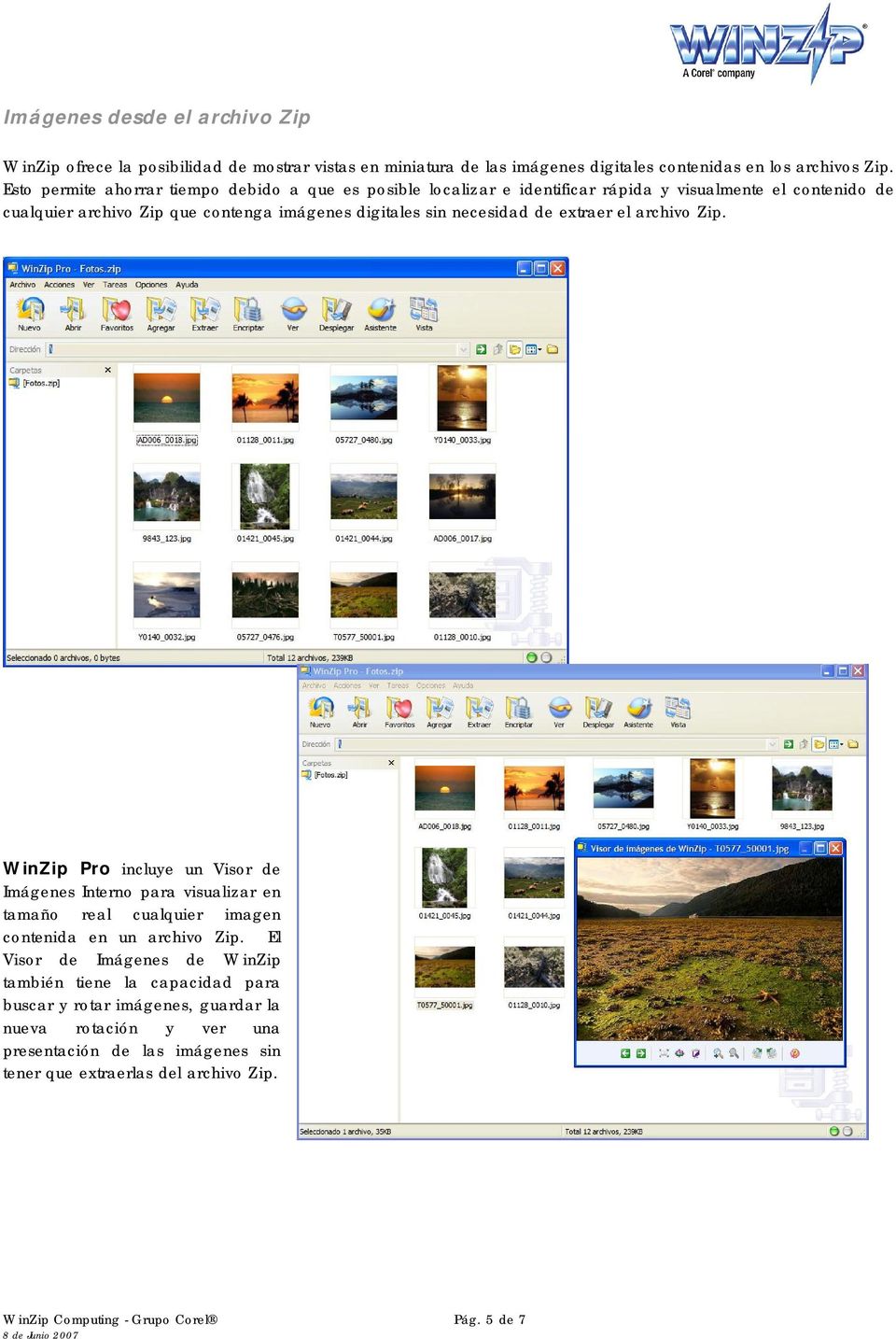 necesidad de extraer el archivo Zip. WinZip Pro incluye un Visor de Imágenes Interno para visualizar en tamaño real cualquier imagen contenida en un archivo Zip.
